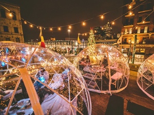 Rouleau de bâche en PVC pour panneau de toit transparent diffusant la lumière pour tente de serre - Product Image 4