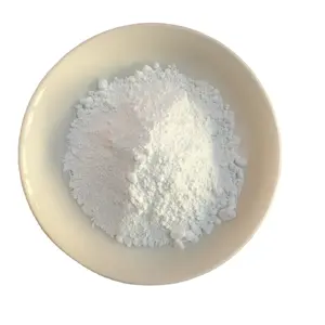 Pâte de Kaolin blanche pour papier ou céramique, 50g, poudre chaude