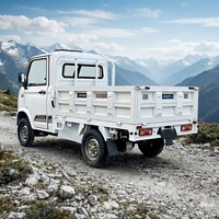 Mini camionnette électrique robuste, charge maximale 800 kg, capacité de montée 25°, moteur 200-250 kW, autonomie 101-200 km pour terrains accidentés