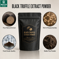 Extrait de truffe noire en poudre, soluble dans l'eau, qualité alimentaire, arôme améliorant pour la fabrication de sauces et d'assaisonnements