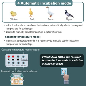 Capacité <span class=keywords><strong>de</strong></span> vente chaude classique 120 incubateurs d'œufs <span class=keywords><strong>de</strong></span> poule dans une machine à couver avec 5 modes d'<span class=keywords><strong>incubation</strong></span> pour la volaille - Product Image 5