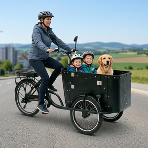 Tricycles électriques homologués CE, vélos cargo familiaux avec boîte de transport, vélos cargo électriques pour la ville, entrepôt UE - Product Image 1