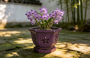 <span class=keywords><strong>Pots</strong></span> d'orchidées hexagonaux ventilés, <span class=keywords><strong>pots</strong></span> de cymbidium, <span class=keywords><strong>pots</strong></span> de dendrobium pour la décoration intérieure ou extérieure - Product Image 5