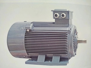 4p 75KW IP65 तीन फेज विद्युत शक्ति मोटर - Product Image 6