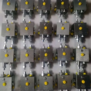 Rexroth kleplichaam voor funderingspalen rotatieboormachine SR155 SR220 Sr60 Swdm280 XRMG280 - Product Image 2