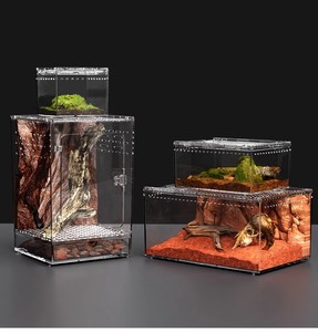 Terrario Rectangular de Acrílico de Alta Transparencia para Lagartos y Geckos, Ambiente Ecológico con Temática Desértica, Hábitat para Serpientes, Rana Arbórea - Product Image 4