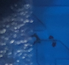 Blu chiaro