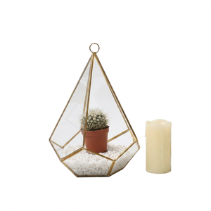 Terrario Geométrico de Vidrio con Marco Dorado, Maceta Colgante para Suculentas, Decoración Moderna y Minimalista para Escritorio - Product Image 1