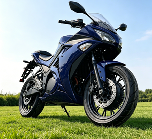 Moto électrique sportive bleue homologuée CEE 2000W, vitesse maximale 80 km/h, moto de rue pour adultes - Product Image 6