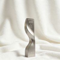 Plaques de trophées métalliques durables et écologiques, gravées par impression UV, silhouette élégante et moderne, pour reconnaissance d'entreprise