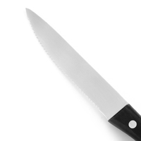 Couteau à steak universel en acier inoxydable, avec manche confortable, de haute qualité