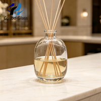 Bouteille diffuseur de parfum d'ambiance en verre décoratif OEM ODM 100 ml vide avec bouchon scellé, design unique, pour diffuseur de senteurs