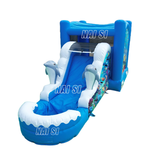 Castillo Inflable Acuático con Tobogán, Brincolín y Zona de Juegos Húmedos y Secos para Niños, Diversión Acuática de Verano - Product Image 2