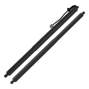 Electric Tailgate Power Lift Support For MODEL X 2015-2020 106566400B