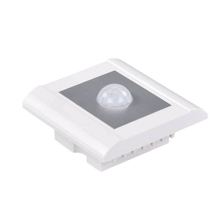 Geagood 10A 220V Wall Switches Motion