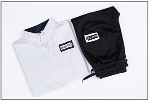 2025 ग्रीष्मकालीन नया पोलो सूट M-8XL आकस्मिक रंगीन बटन शॉर्ट आस्तीन टी-शर्ट + शॉर्ट पैंट पुरुषों के खेल सूट - Product Image 5