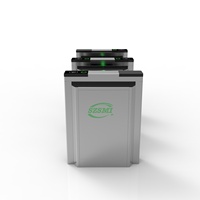 Torniquete de Acceso con Certificado CE, Barrera de Puerta Abatible con Lector de Tarjetas RFID para Oficina, Gimnasio y Centro de Fitness