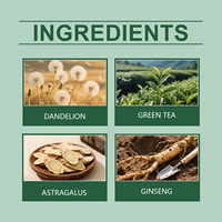 Googeer Sachets de Tisane aux Ingrédients 100% Naturels pour la Santé de la Prostate Masculine – Favorise Naturellement le Confort Urinaire et un Flux Sain