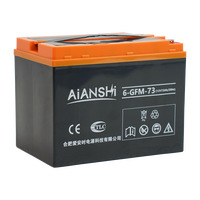 Pièces électriques pour transpalette AIANSHI, batteries au plomb sans entretien à décharge profonde AIANSHI 12V 73AH pour remplacement de chariot élévateur