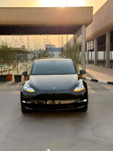 Modelo Y Long Range AWD 2023 de Tesla - Product Image 1