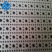 Tôle perforée en aluminium d'écran coupe-vent de forme de trou rond de maille métallique perforée d'acier inoxydable pour la suppression de la poussière