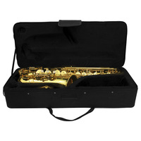 Beginner's Degraded E-Tone Alto Adult Saxophone Woodwind Instrument for Cross-Border Source