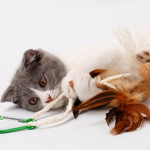 Bâton attrape-chat écologique interactif Offre Spéciale Adorable baguette en bois de plumes pour chats et chiens - Product Image 2