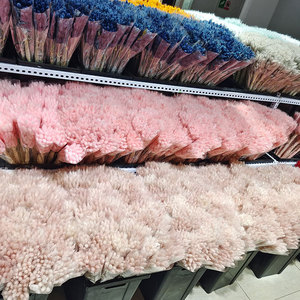 Queues de lapin de fleurs séchées naturelles colorées <span class=keywords><strong>Lagurus</strong></span> Ovatus pampa Queue de lapin de pampa naturelle Herbe préservée Queue de lapin - Product Image 5