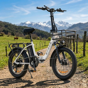 Bicicleta Eléctrica Plegable Engwe L20 SE 250W 20 Pulgadas, 561Wh 36V 15.6Ah, Tipo Step-Through, para Trekking, Stock en la UE, Entrega Rápida - Product Image 1