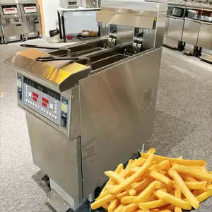OFE-213 CE ISO High Quality Electric Gas Double Tank Commercial Open Deep Fryer With Automatic Oil Filter System