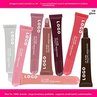 Personnalisation OEM/ODM, prêt à expédier, brillant à lèvres sans logo, infusé aux peptides, multivitamines, huile de jojoba, teinte liquide pour les lèvres, hydratant, repulpant