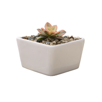 Pot de fleurs en céramique en forme de triangle à prix compétitif, blanc, moderne, décoratif, pour table