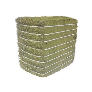 Heno de Alfalfa de Primera Calidad en Pacas para Caballos, Ganado y Cerdos, Listo para Envío, Mejor Precio/Cantidad al por Mayor, Precio Económico - Product Image 3