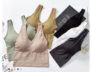 Bra Push UP seksi baru 2024 Bra Sport tanpa kawat, Bra Push UP, atasan rajut, bantalan v-tie seksi