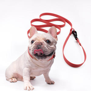 Customized Pvc <b>Pet</b> Collar And <b>Leash</b> Waterproof Durable Adjustable For Small To Medium Dogs - Product Image 1