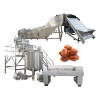 Complete Set 500 Kg/u Palmdadels Verwerkingslijn Datumsiroop Productielijn