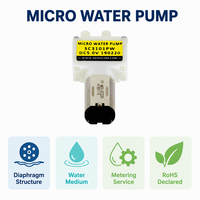 Pompa Air Diafragma Mikro SC3101PW Pompa Metering Listrik OEM ODM OBM RoHS untuk Peralatan Rumah Tangga