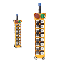 Télécommande sans fil pour palan électrique à double vitesse Telecrane F24-16D 433 MHz 12 VDC 12 touches, certification CE RoHS FCC