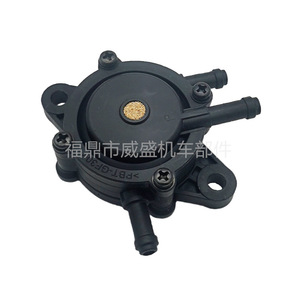 Pompe à carburant 491922 691034 692313 808492 808656, accessoires de moto pour pièces de moteur Briggs Stratton - Product Image 1