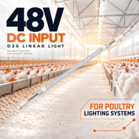 Éclairage linéaire pour volailles 20mm Slim 48V DC IP67 Étanche LED pour poulaillers et systèmes de cages de poulets de chair et de poules pondeuses