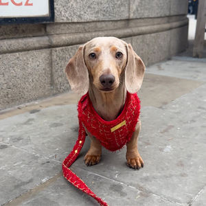 VPETBR Luxury Textured Tweed Adjustable Neck Harness Soft <strong>Dog</strong> Harness <strong>Red</strong> Set Bow Tie Poop Bag <strong>Collar</strong> and Leash Set - Product Image 3