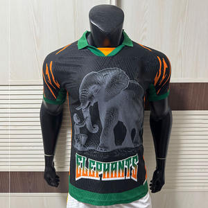 25-26 Yaz Sezonu Rahat Polyester Spor Formaları OEM Hizmeti Afrika Oyuncuları Edisyonu Fildişi Sahili Fas Senegal İçin Üstün Kalite - Product Image 5