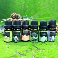 Huile Essentielle Pure Naturelle** pour Diffuseur d'Aromathérapie et Soins de la Peau, Service OEM, Marque Privée
