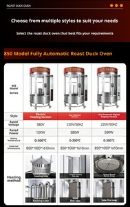 Commercial Gas Nut Roaster 50kg Capacity Stainless Steel Vertical Oven Push Button <b>Control</b> Large Capacity for Snack Bars - Product Image 5
