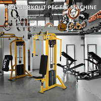 Machines de musculation professionnelles à usage commercial, couleur personnalisée, en acier, à charge par poulie, pour exercices de Deltédaux Posterioris et de Pectoraux (Hammer Rear Delt/Pec Fly)