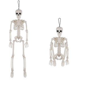 Squelette d'Halloween <span class=keywords><strong>de</strong></span> simulation humaine, accessoires <span class=keywords><strong>de</strong></span> décoration pour fête d'<span class=keywords><strong>horreur</strong></span>, squelette d'<span class=keywords><strong>horreur</strong></span>, enseignement <span class=keywords><strong>de</strong></span> <span class=keywords><strong>l</strong></span>'<span class=keywords><strong>anatomie</strong></span> humaine - Product Image 2