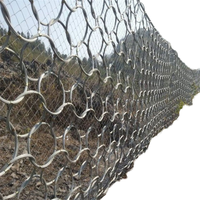 Barrières anti-chute de roche en acier galvanisé, filet de protection en corde tissée en usine pour une protection efficace contre les chutes de roche