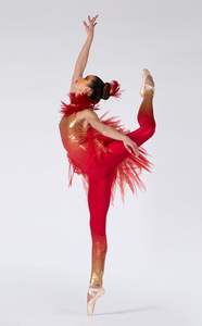 बच्चों महिलाओं आधुनिक नृत्य पोशाक जुम्पसूट पक्षी नृत्य पोशाक - Product Image 3