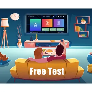4k Free Test List Android TV Box Account Free for Free Code USA Canada H96 Max-3318 with High Speed OEM Quad Core Android 11 6K