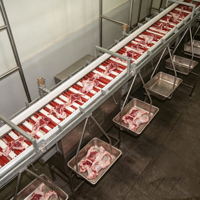 Ligne de traitement automatique pour abattoirs de bovins, ovins et caprins – Équipement de convoyage pour petits abattoirs